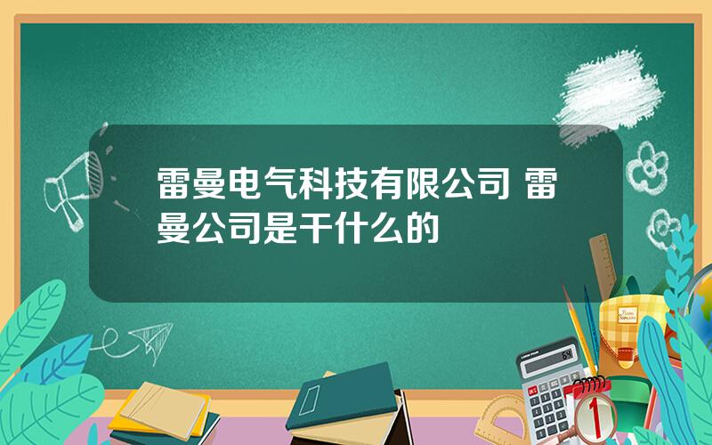 雷曼电气科技有限公司 雷曼公司是干什么的